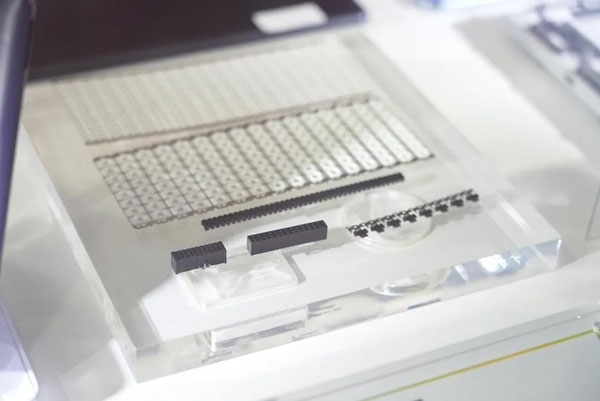 K1体育·(中国区)-十年品牌 值得信任